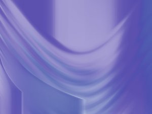 SET化